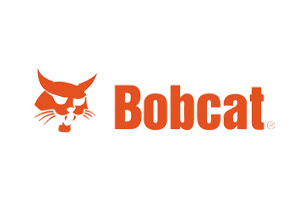 Bobcat